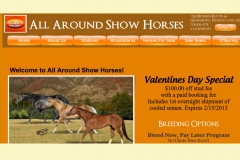All Around Show Horses