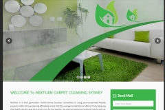NextGen Carpet Cleaning